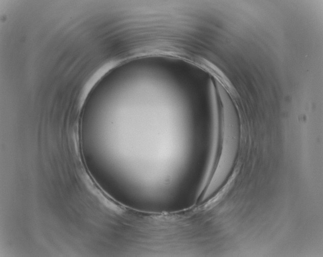 X0000073930812200609011833