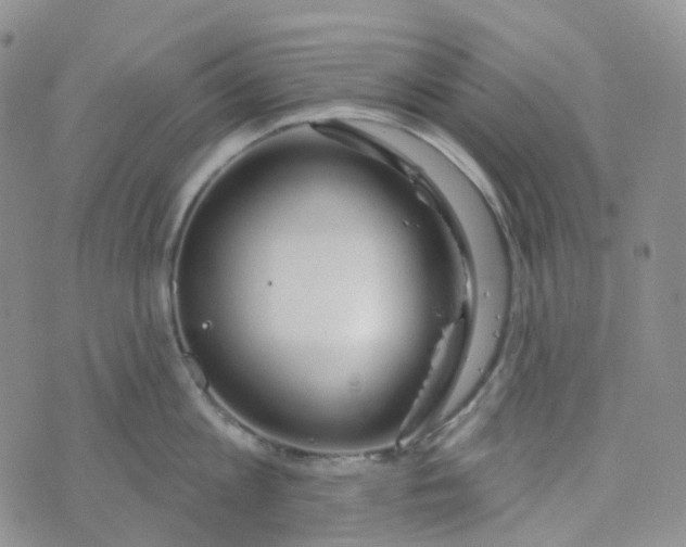 X0000073930813200609011833