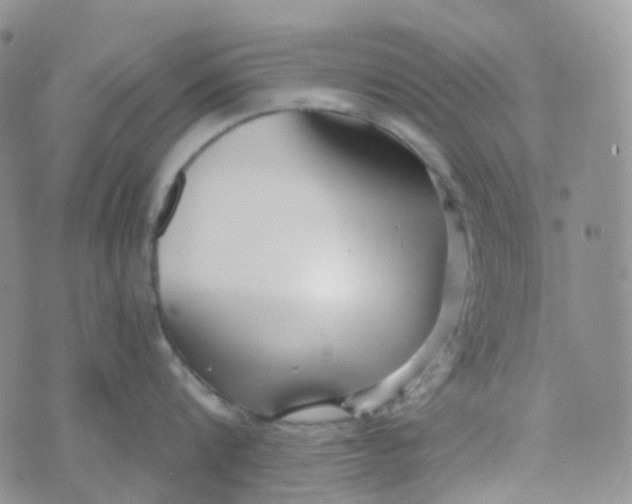 X0000073930816200609011833