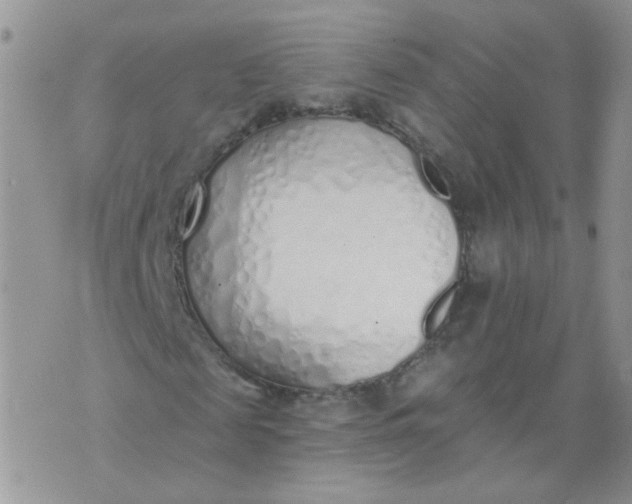 X0000073930817200609011832