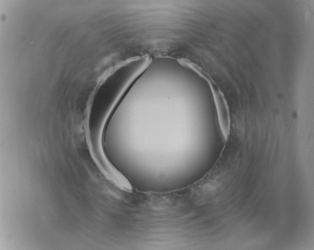 X0000073930818200609011832