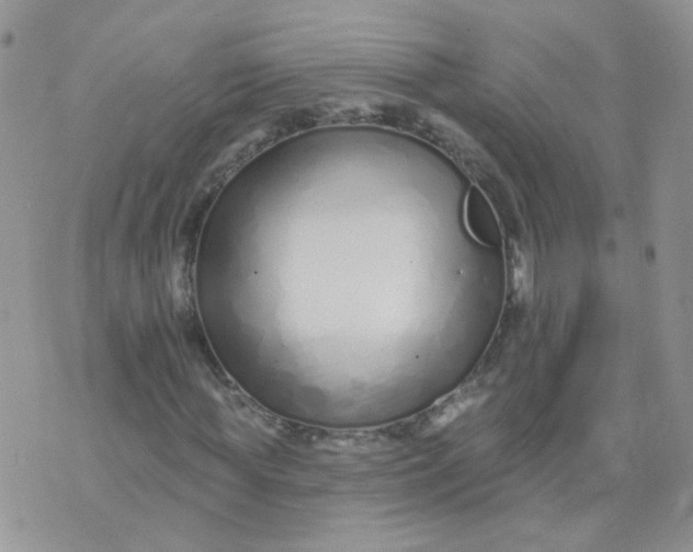 X0000073930819200609011832