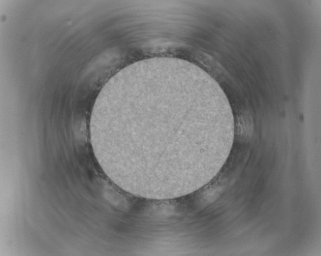 X0000073930820200609011832