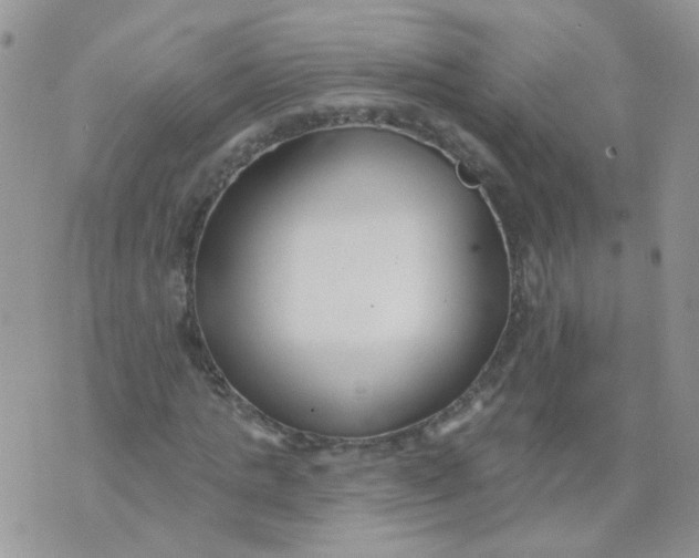 X0000073930821200609011832