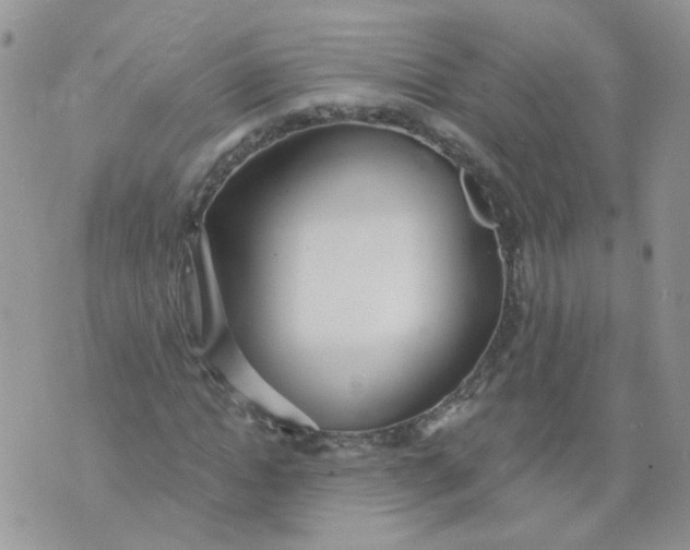 X0000073930822200609011832