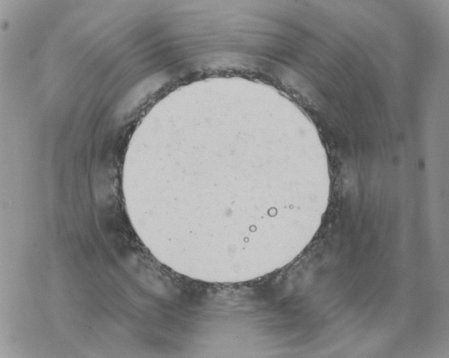 X0000073930824200609011832