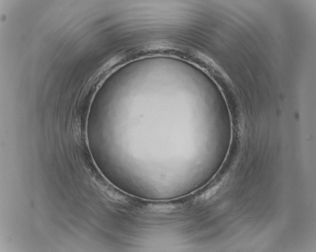 X0000073930825200609011832