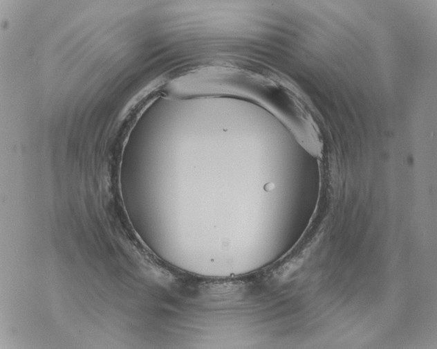 X0000073930826200609011832