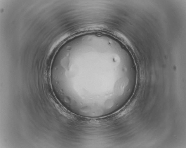 X0000073930827200609011832