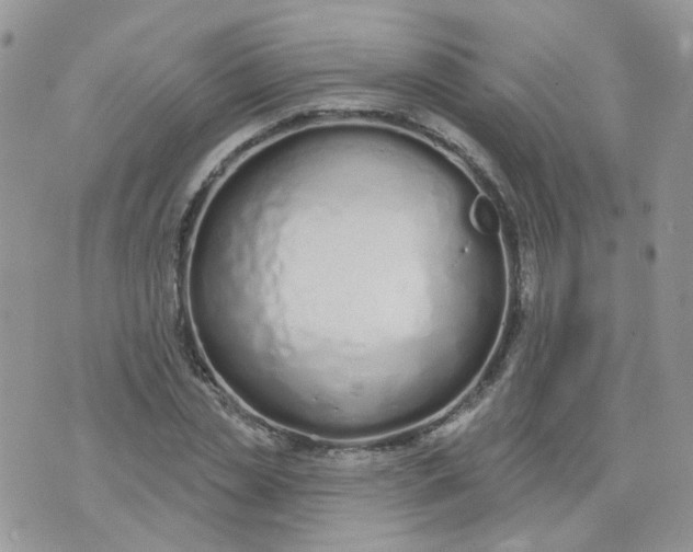 X0000073930829200609011832