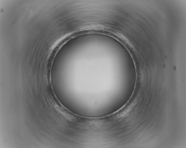 X0000073930830200609011832