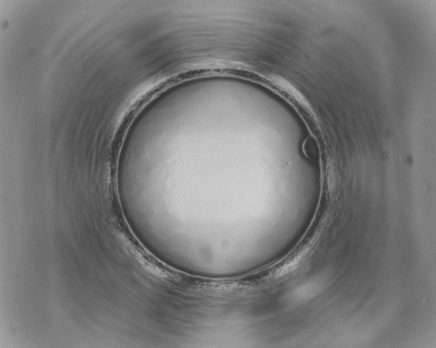 X0000073930831200609011832