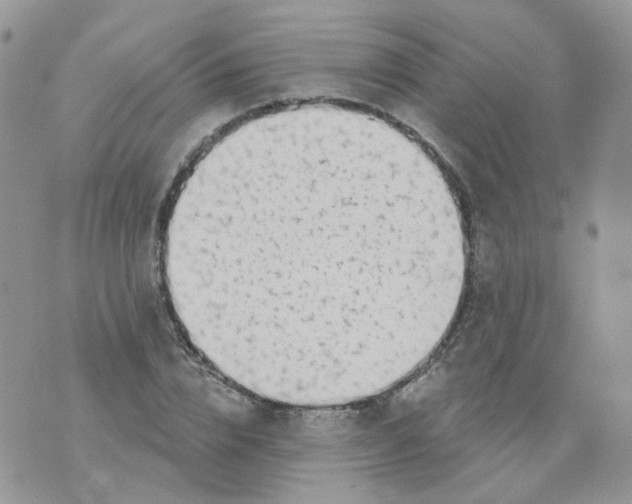 X0000073930832200609011832