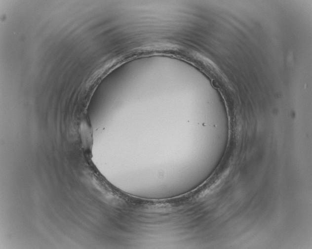 X0000073930833200609011832