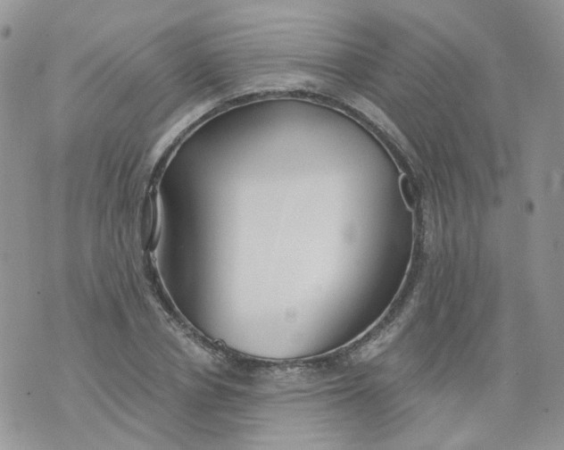 X0000073930834200609011832