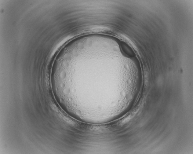 X0000073930835200609011832