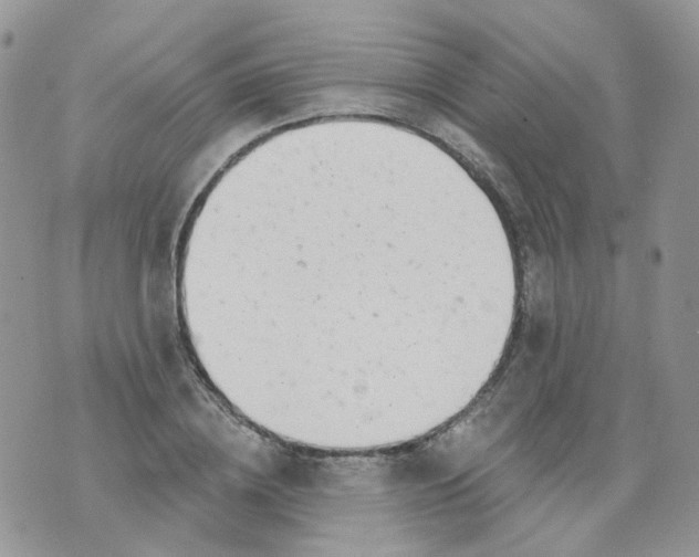 X0000073930836200609011832