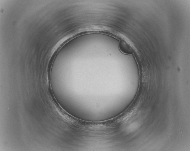 X0000073930837200609011832