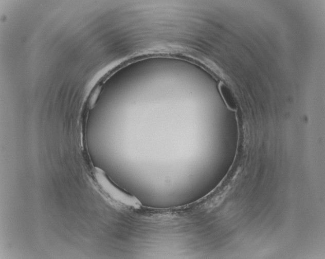 X0000073930838200609011832