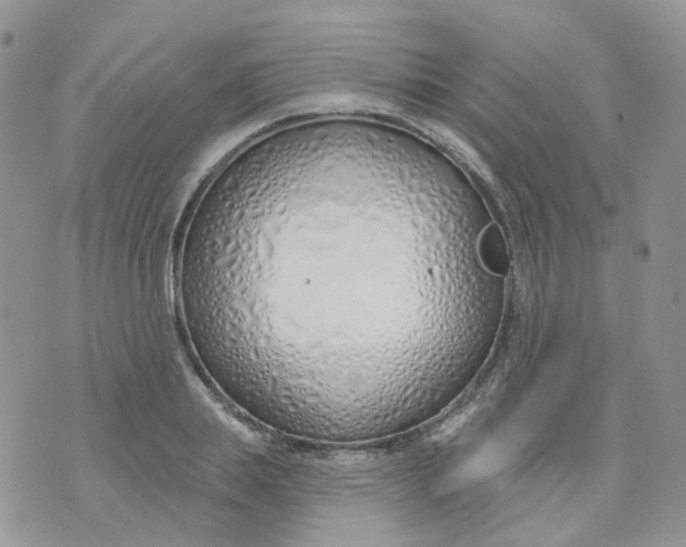 X0000073930839200609011832