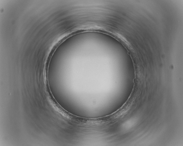 X0000073930840200609011832