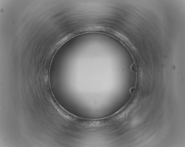 X0000073930841200609011832