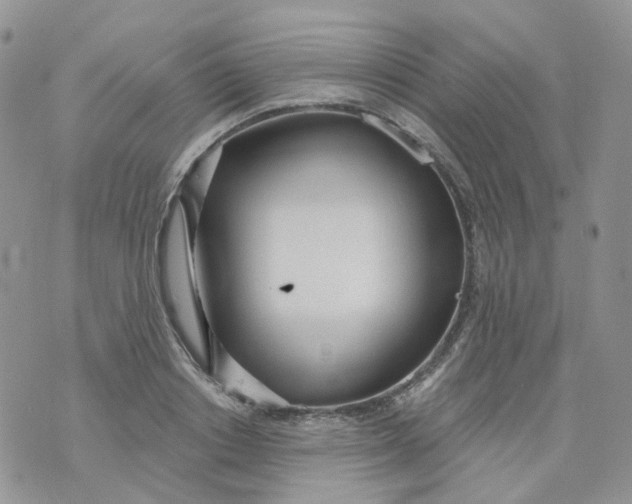 X0000073930842200609011832