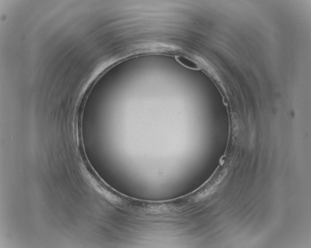 X0000073930843200609011832