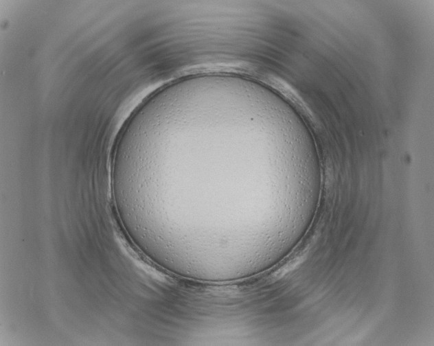 X0000073930844200609011832