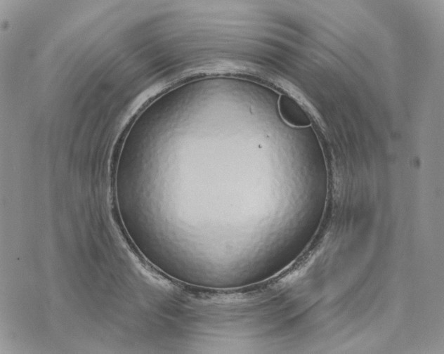 X0000073930845200609011832