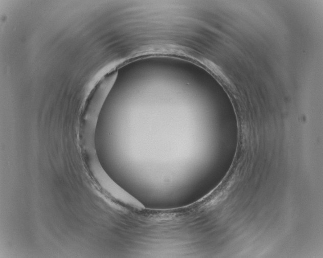 X0000073930846200609011832