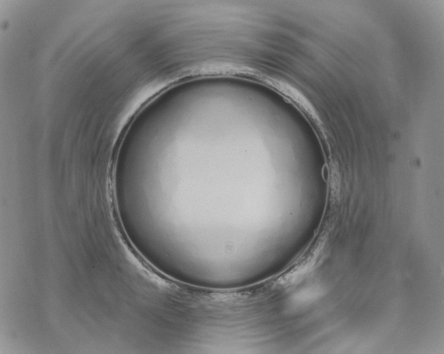 X0000073930847200609011832