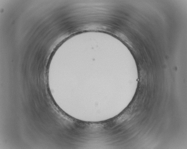 X0000073930848200609011832