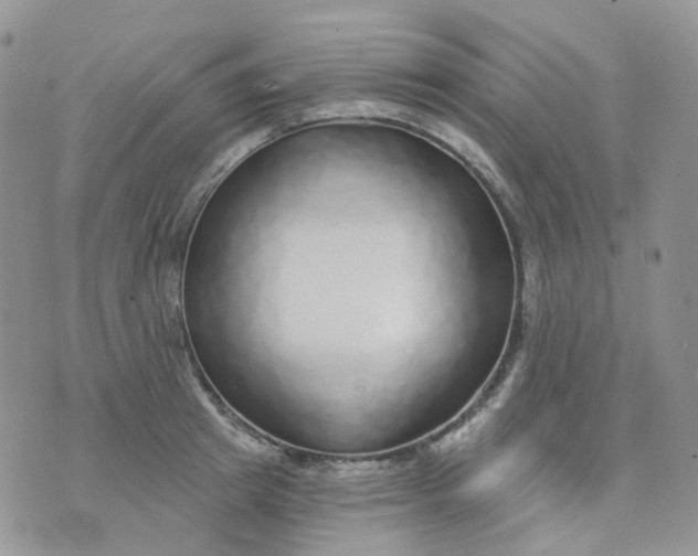 X0000073930849200609011832