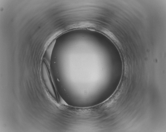 X0000073930850200609011832