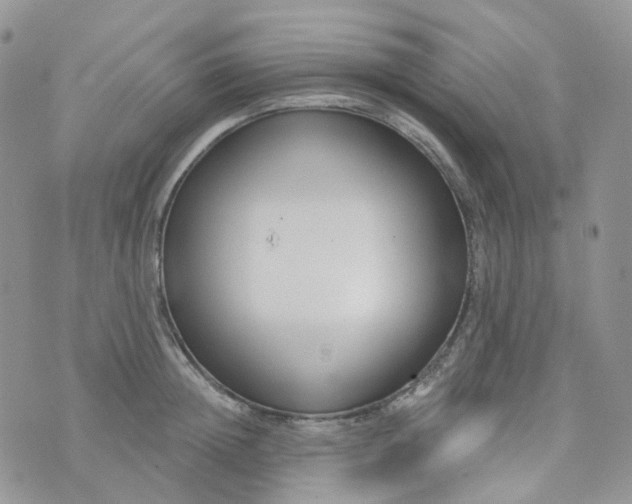 X0000073930852200609011832