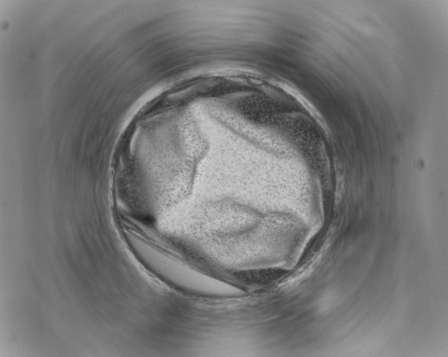 X0000073930853200609011832