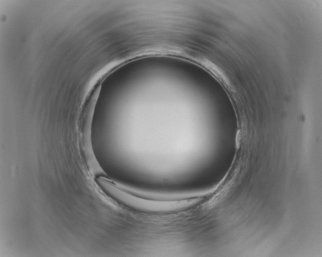 X0000073930854200609011832