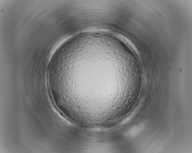 X0000073930855200609011832