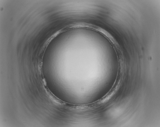 X0000073930857200609011832