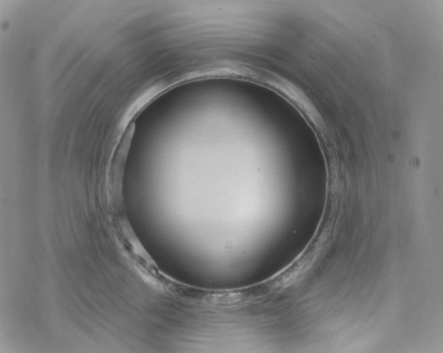 X0000073930858200609011832