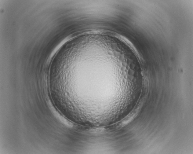 X0000073930859200609011832