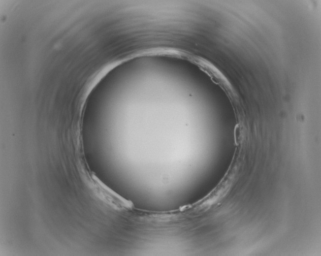 X0000073930860200609011833