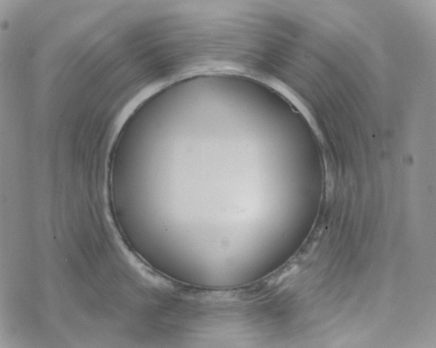 X0000073930861200609011833