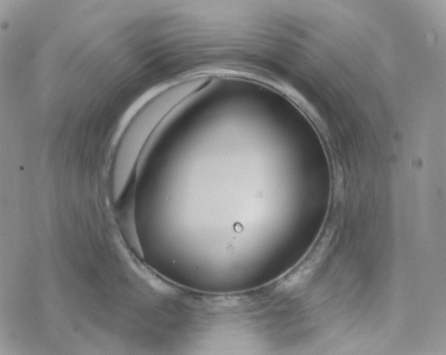 X0000073930862200609011833