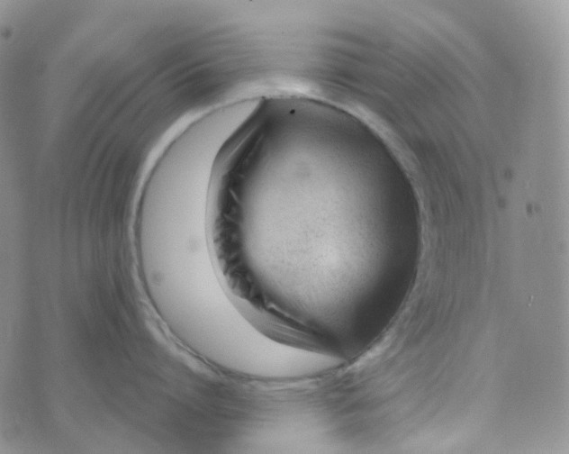 X0000073930864200609011833