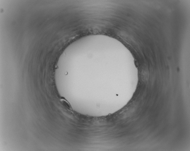 X0000073930865200609011832