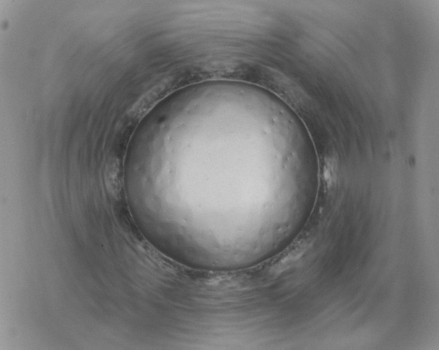 X0000073930867200609011832