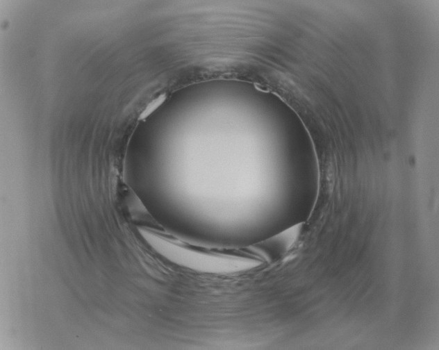 X0000073930868200609011832