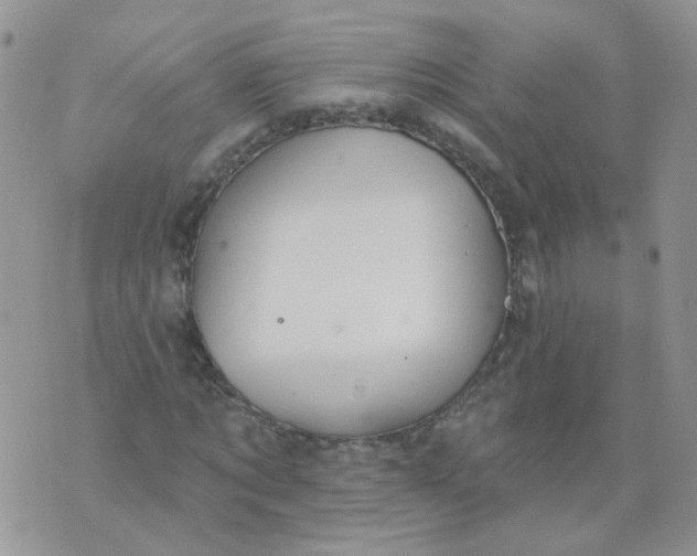 X0000073930869200609011832